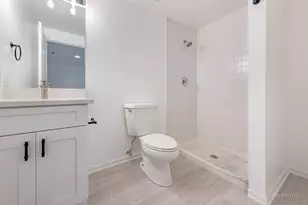 901 S Racine Ave, Chicago, IL 60607 - Photo 33