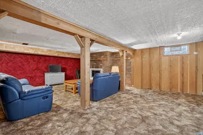 25223 S Fryer Street, Channahon, IL 60410 - Photo 27