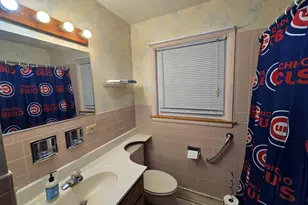 58 W Comfort St, Palatine, IL 60067 - Photo 29