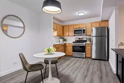 230 E Ontario Street #1305, Chicago, IL 60611 - Photo 11
