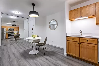 230 E Ontario Street #1305, Chicago, IL 60611 - Photo 13