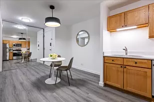 230 E Ontario St, Chicago, IL 60611 - Photo 13