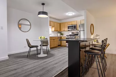 230 E Ontario Street #1305, Chicago, IL 60611 - Photo 9