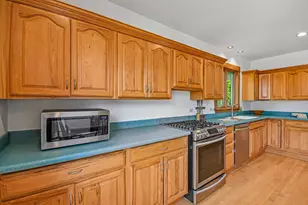 734 Gunderson Ave, Oak Park, IL 60304 - Photo 19