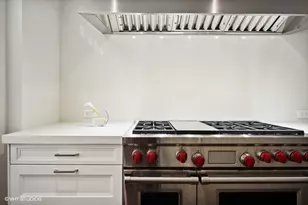 118 E Erie St, Chicago, IL 60611 - Photo 23