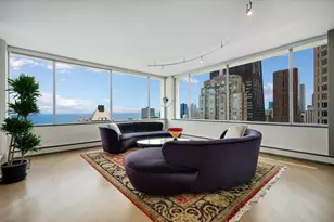 1000 N Lake Shore Plaza, Chicago, IL 60611 - Photo 5