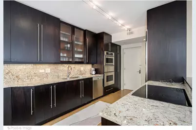 1000 N Lake Shore Plaza #39B, Chicago, IL 60611 - Photo 13