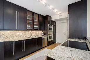 1000 N Lake Shore Plaza, Chicago, IL 60611 - Photo 13