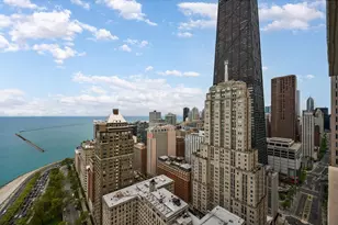 1000 N Lake Shore Plaza, Chicago, IL 60611 - Photo 29