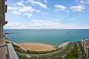 1000 N Lake Shore Plaza, Chicago, IL 60611 - Photo 9
