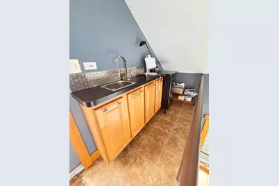 1734 W Beach Avenue, Chicago, IL 60612 - Photo 43