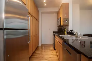 1255 S State St, Chicago, IL 60605 - Photo 7