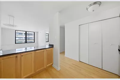 222 E Pearson Street #1007, Chicago, IL 60611 - Photo 3
