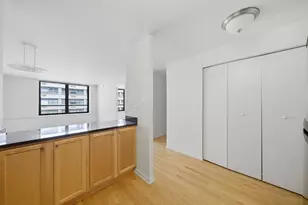 222 E Pearson St, Chicago, IL 60611 - Photo 3