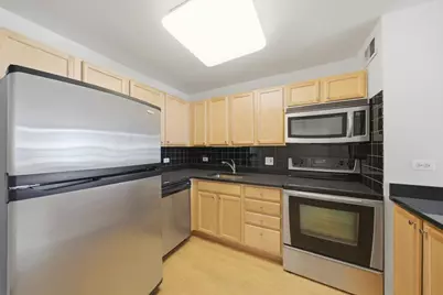222 E Pearson Street #1007, Chicago, IL 60611 - Photo 7