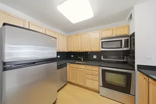 222 E Pearson St, Chicago, IL 60611 - Photo 7
