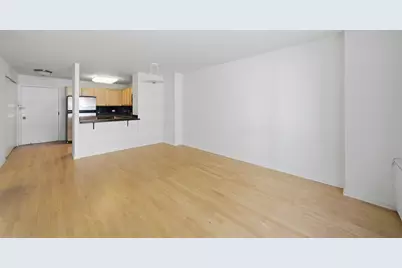 222 E Pearson Street #1007, Chicago, IL 60611 - Photo 5