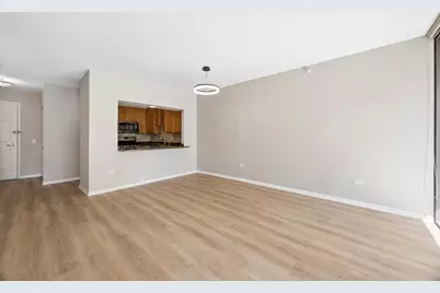 630 N State Street #1305, Chicago, IL 60654 - Photo 9