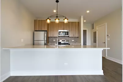 2111 S Halsted Street #201, Chicago, IL 60608 - Photo 5