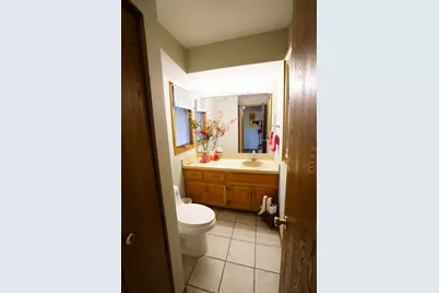 601 S Raven Road, Shorewood, IL 60404 - Photo 9