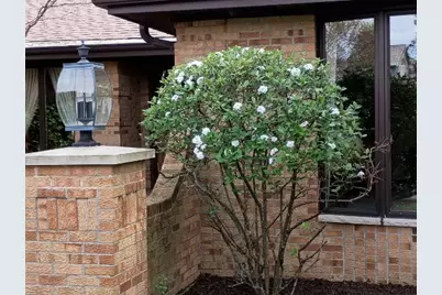 34 Carlisle Road, Hawthorn Woods, IL 60047 - Photo 45