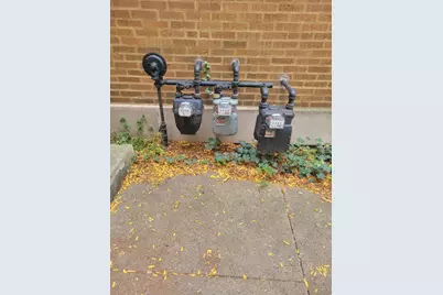 1742 W Wallen Avenue, Chicago, IL 60626 - Photo 19