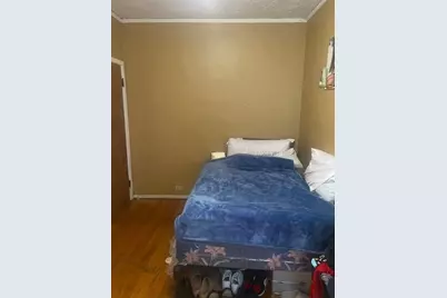8728 S Carpenter Street, Chicago, IL 60620 - Photo 9