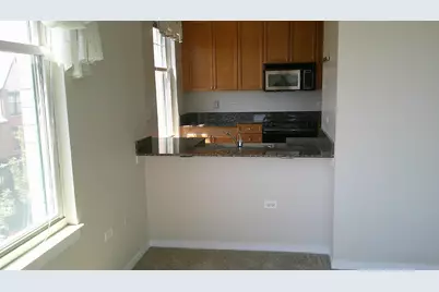 125 N Euclid Avenue #402, Oak Park, IL 60301 - Photo 5