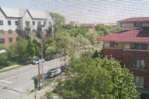 125 N Euclid Ave, Oak Park, IL 60301 - Photo 15