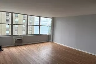 1000 N Lake Shore Dr, Chicago, IL 60611 - Photo 5