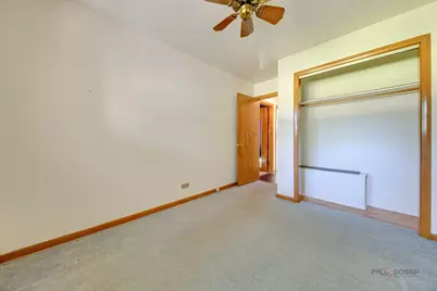217 Dalton Avenue, Mundelein, IL 60060 - Photo 17