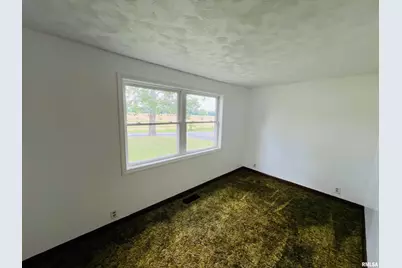 17064 Old Frankfort Road, Johnston City, IL 62951 - Photo 31