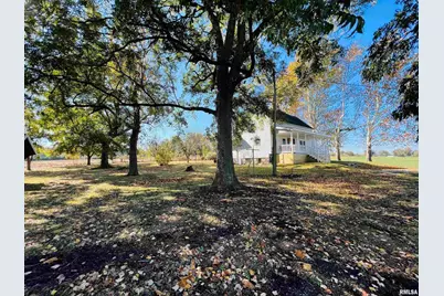 17064 Old Frankfort Road, Johnston City, IL 62951 - Photo 5