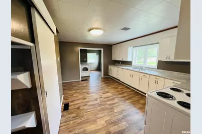 17064 Old Frankfort Road, Johnston City, IL 62951 - Photo 25