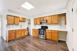 9046 S Brandon Ave, Chicago, IL 60617 - Photo 13