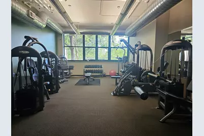 2323 W Pershing Road #230, Chicago, IL 60609 - Photo 29