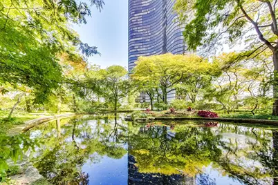 505 N Lake Shore Drive #2412, Chicago, IL 60611 - Photo 45