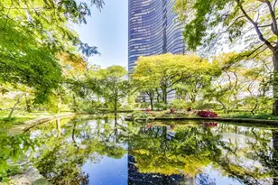 505 N Lake Shore Dr, Chicago, IL 60611 - Photo 45