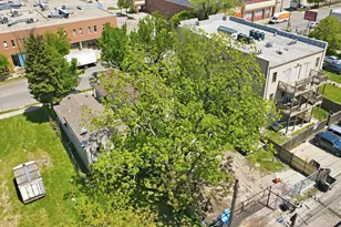 1643 W 59th St, Chicago, IL 60636 - Photo 5