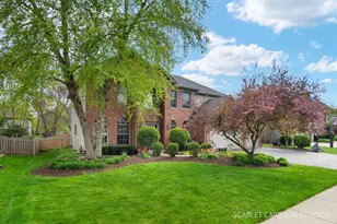 2816 Cordgrass Rd, Naperville, IL 60564 - Photo 1