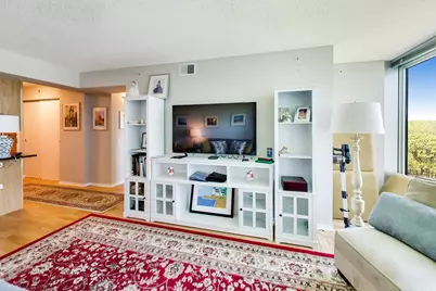 9655 Woods Drive #814, Skokie, IL 60077 - Photo 5