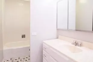 535 N Michigan Ave, Chicago, IL 60611 - Photo 9