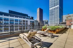 850 N Dewitt Pl, Chicago, IL 60611 - Photo 11