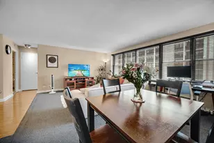 850 N Dewitt Pl, Chicago, IL 60611 - Photo 5