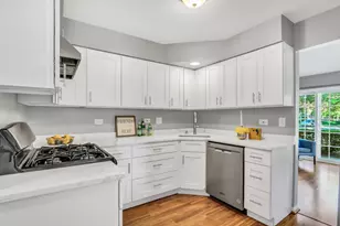 1282 Old Mill Ln, Elk Grove Village, IL 60007 - Photo 13