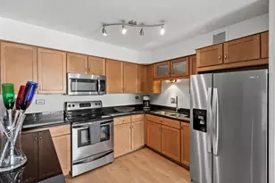 201 S Maple Ave, Oak Park, IL 60302 - Photo 7