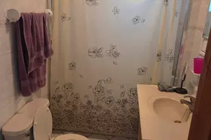 1833 N Tripp Ave, Chicago, IL 60639 - Photo 17