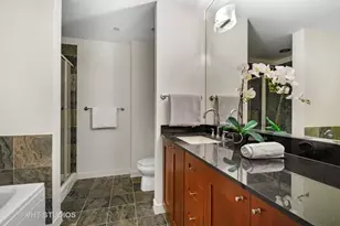 737 W Washington Blvd, Chicago, IL 60661 - Photo 11