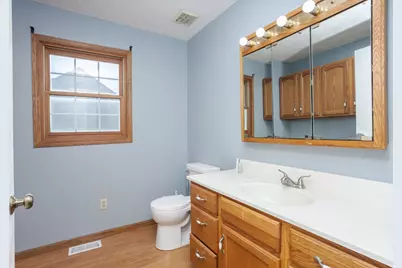 507 Lloyd Drive, Dwight, IL 60420 - Photo 21