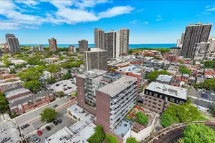 1546 N Orleans St, Chicago, IL 60610 - Photo 21